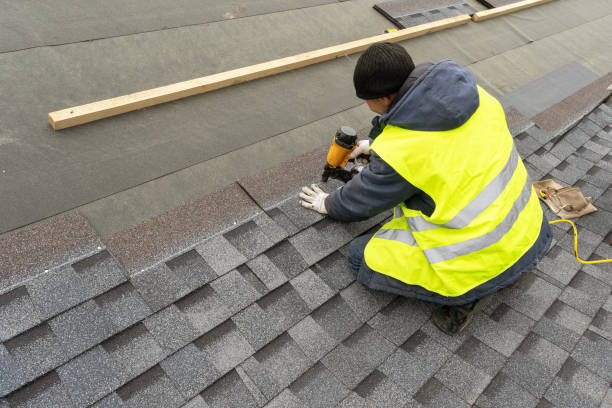 Best Roof Maintenance Services  in Ortonville, MI