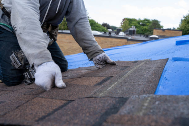 Roof Installation Near Me in Ortonville, MI