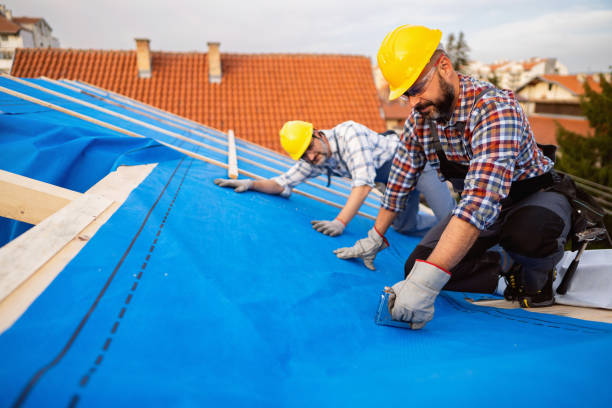 Best Roof Waterproofing Services  in Ortonville, MI