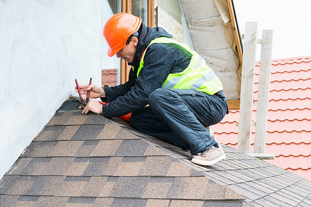 Best Roof Gutter Cleaning  in Ortonville, MI