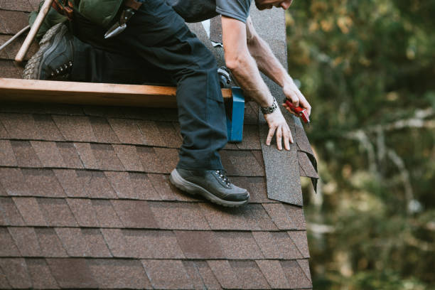 Best Roof Waterproofing Services  in Ortonville, MI