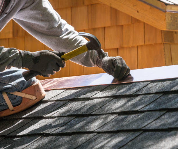 Best Local Roofing Companies  in Ortonville, MI